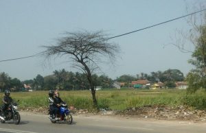Tak Ingin Mendapat Nilai Negatif Dari Pimpinan, Tumpukan Sampah Dijayanti Langsung Diangkut