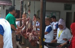 Peduli Sosial, PT PLN S2JB Palembang Qurban 7 Ekor Sapi dan 9 Kambing