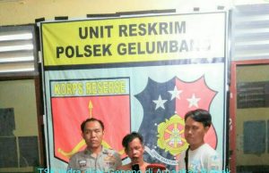 Lakukan Kriminal ,Residivis Kambuhan Ditangkap Polsek Gelumbang