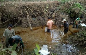 Bersihkan Limbah Minyak Pertamina EP Di Aliran Sungai Kelekar Gunakan Alat Seadanya