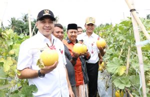 Bupati Zaki Panen Jagung & Melon Di Teluknaga