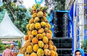 Serba Durian, Festival Calourful Muara Enim 2019