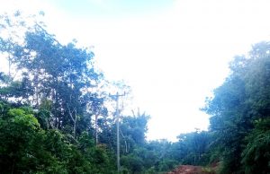 DPRD Lebak Diminta Cari Solusi Jalan Rusak Di Kecamatan Cihara