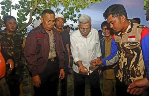 Pulau Maspari, Surganya Kawanan Penyu Sisik dan Penyu Hijau