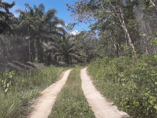 20190523_114451