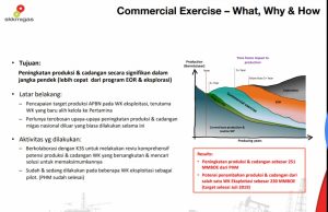 SKK Migas Optimis Capai Target Lifting Akhir 2019