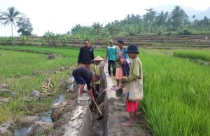 Atasi Kekurangan Air Poktan P3A Cikadu Bangun Irigasi