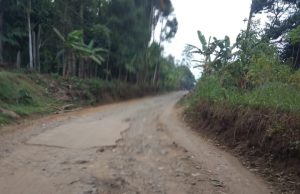 Warga Keluhkan Jalan Penghubung Desa Ini Mulai Rusak