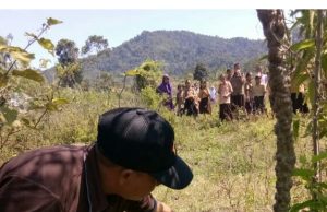 Aneh Tapi Nyata, Sapi Terlahir Berkaki Lima di Tanjung Bulan Ulu