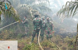 17 Ha Lahan Terbakar di Penyaguan, Tim Kesulitan Padamkan Api