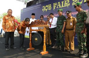 Entas Pengangguran Wabup Buka Job Fair, 7.425 Loker Disiapkan Pemkab