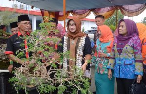 KETUA TP-PKK LAMPURA HADIRI PEMBUKAAN PAMERAN BONSAI