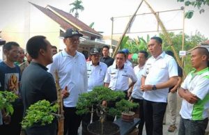 BUPATI DAN WAKIL BUPATI OKU SELATAN HADIRI PAMERAN BONSAI