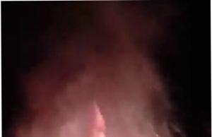 Si Jago Merah Hanguskan Rumah Warga Pedataran Gelumbang