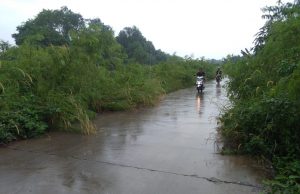 Tak Terawat, Sepanjang Badan Jalan Kali Gembong Mulai Ditutupi Rumput Liar