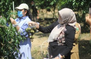 Feby Deru Sumbang Buah-buhan Segar untuk Penghuni Rumah Sehat JSC