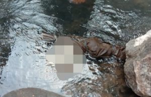 Warga Kecamatan Padarincang digegerkan Penemuan Bayi Perempuan di Aliran Sungai