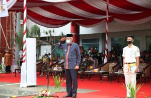 Pimpin Upacara HSP, Wagub Inginkan Pemuda Sumsel Kreatif Buka Lapangan Kerja Baru