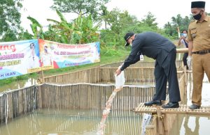 Bupati Tangerang Tebar Ribuan Benih Ikan Nila dan Lele di Kecamatan Kronjo