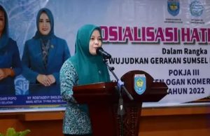 Dorong Peningkatan Kesejahteraan Keluarga, TP-PKK OKU Selatan Gelar Sosialisasi Program Inti