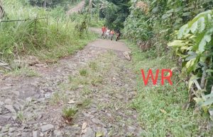 Warga Berharap Pemerintah Bangun Jalan Poros Desa Mekarsari – Cikolelet