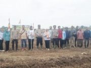 Dorong Ketapang, DPMD PALI Turun Langsung Penanaman Jagung Hibrida di Desa Semangus