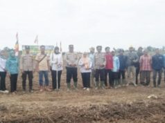 Dorong Ketapang, DPMD PALI Turun Langsung Penanaman Jagung Hibrida di Desa Semangus