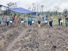 Pemdes Sinar Dewa Giat Tanam Jagung Hibrida Metode Tugal Manual