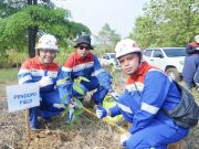 Menjaga Jalur Pulang Gajah Sumatera, Pertamina EP Zona 4 Tanam Pohon di Musi Rawas