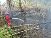 Jaga Keselamatan Bersama, PHR Zona 4 Respon Cepat Padamkan Lebih dari 100 Titik Api Karhutla Sumsel